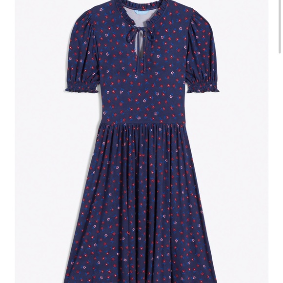 Nancy Dress in falling daisies NWOT - Picture 3 of 5